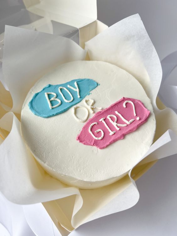 Boy or Girl? Bento Cake