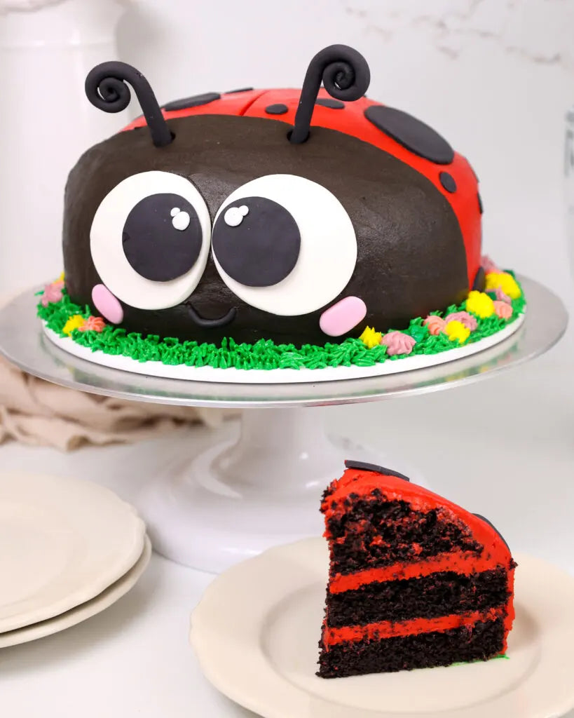 Shy Ladybug Cake